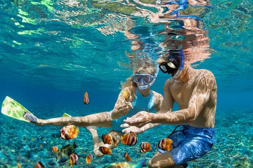 Scuba Diving and Snorkeling- Best Adventure Activity 